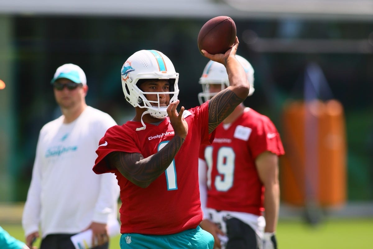 DOLPHINS LOOK TO ADVANCE FURTHER THAN WILDCARD IN 2024-25